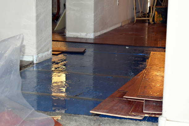Professional Basement Flooding technician working in Roanoke, TX
